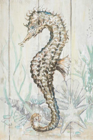 Antique Sea Horse II White Modern Wood Framed Art Print with Double Matting by Pinto, Patricia