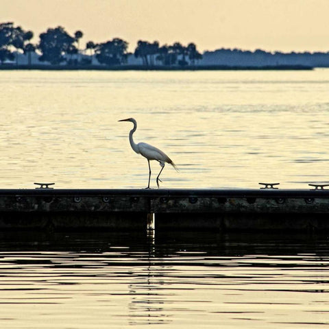 Along The Pier White Modern Wood Framed Art Print with Double Matting by Nawrocke, Bruce