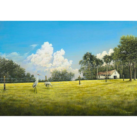 Crane Field Black Modern Wood Framed Art Print with Double Matting by Nawrocke, Bruce