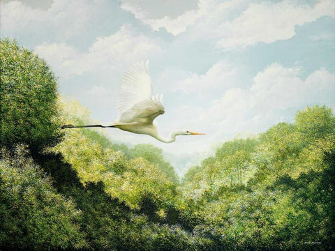 Egret White Modern Wood Framed Art Print with Double Matting by Nawrocke, Bruce