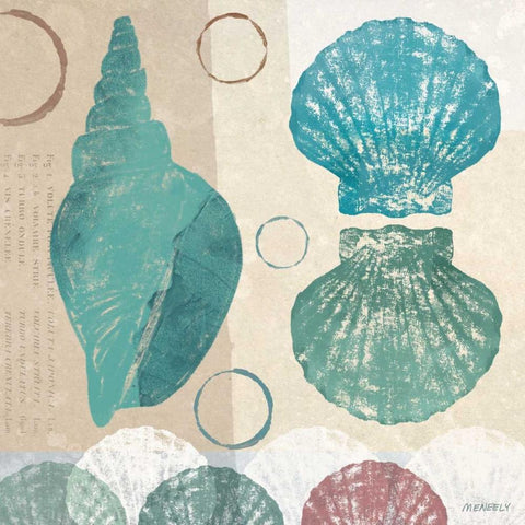 Shell Collage II White Modern Wood Framed Art Print with Double Matting by Meneely, Dan