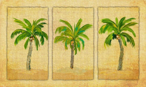 Palm Trio White Modern Wood Framed Art Print with Double Matting by DeRice, Julie