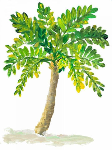 Palm Days IV White Modern Wood Framed Art Print with Double Matting by DeRice, Julie