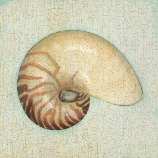 Image Only