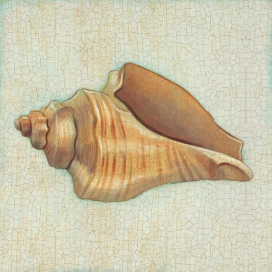 Image Only