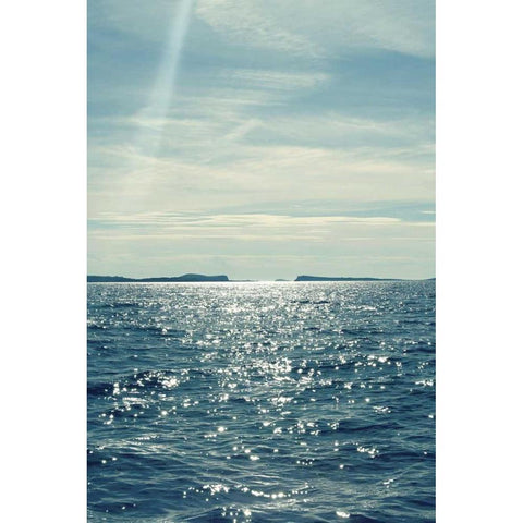 North Eastern Coastal I Black Modern Wood Framed Art Print by Gardner, Sarah