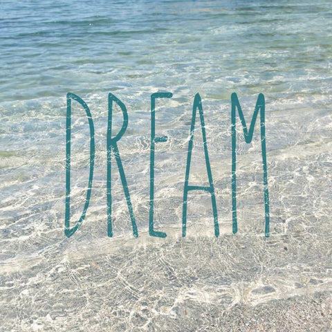 Dream In The Ocean Black Ornate Wood Framed Art Print with Double Matting by Gardner, Sarah