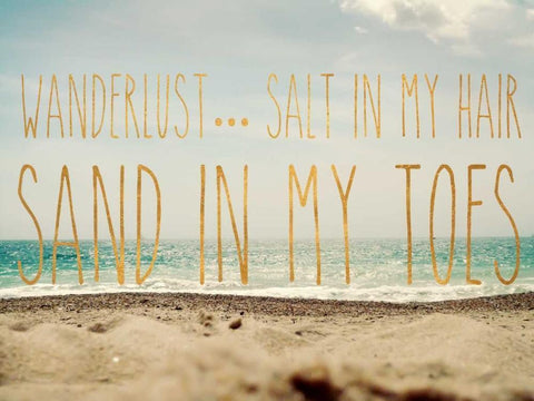 Wanderlust Salt Black Ornate Wood Framed Art Print with Double Matting by Gardner, Sarah