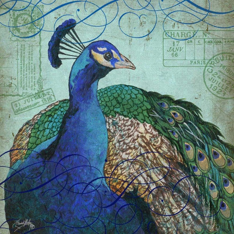 Parisian Peacock I Black Ornate Wood Framed Art Print with Double Matting by Medley, Elizabeth