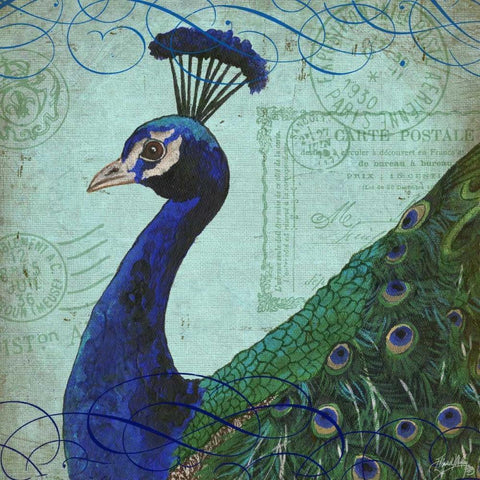 Parisian Peacock II Black Ornate Wood Framed Art Print with Double Matting by Medley, Elizabeth