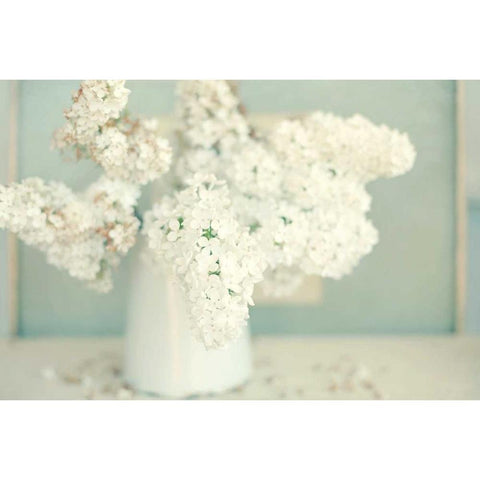 Gorgeous Whites Black Modern Wood Framed Art Print by Gardner, Sarah