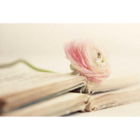 Peony Books White Modern Wood Framed Art Print by Gardner, Sarah