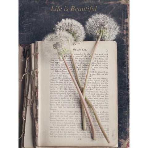 Life is Beautiful Black Modern Wood Framed Art Print by Gardner, Sarah