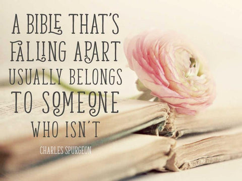 Bible Quote White Modern Wood Framed Art Print with Double Matting by Gardner, Sarah