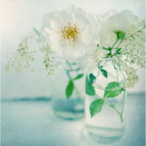 White Peonies Black Modern Wood Framed Art Print with Double Matting by Gardner, Sarah