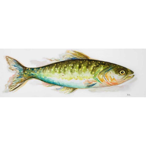 Watercolor Fish II Black Modern Wood Framed Art Print with Double Matting by Pinto, Patricia