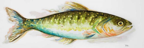 Watercolor Fish II White Modern Wood Framed Art Print with Double Matting by Pinto, Patricia