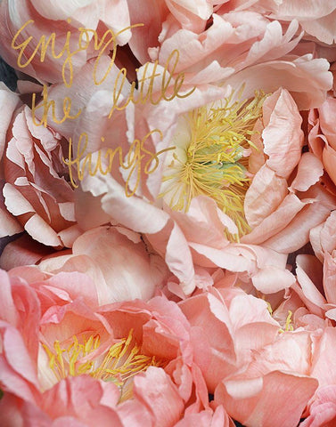 Enjoy the Little Things White Modern Wood Framed Art Print with Double Matting by Gardner, Sarah