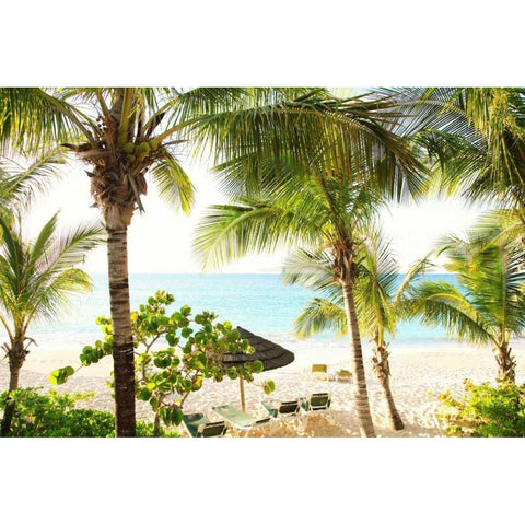 Sitting Under the Palms Black Modern Wood Framed Art Print with Double Matting by Bryant, Susan