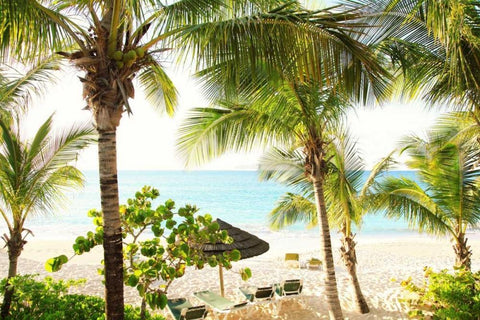 Sitting Under the Palms Black Ornate Wood Framed Art Print with Double Matting by Bryant, Susan