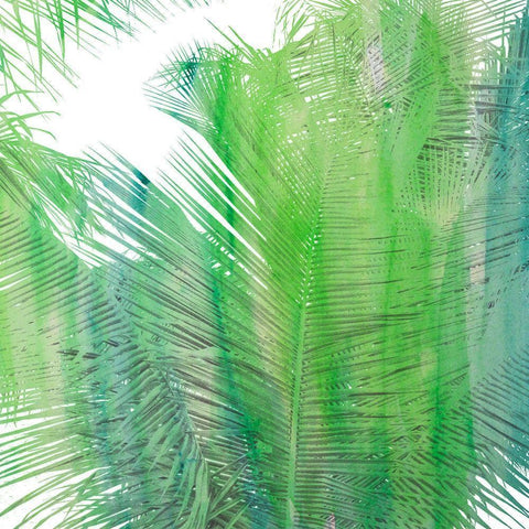 The Tropical Life II Black Modern Wood Framed Art Print by Bryant, Susan