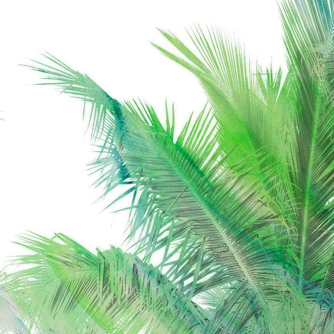 The Tropical Life I White Modern Wood Framed Art Print with Double Matting by Bryant, Susan