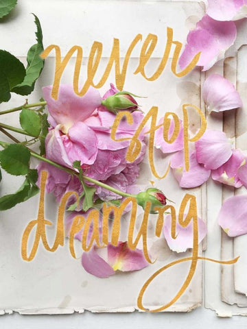 Never Stop Dreaming White Modern Wood Framed Art Print with Double Matting by Gardner, Sarah