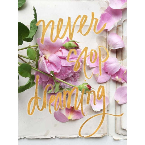 Never Stop Dreaming Black Modern Wood Framed Art Print with Double Matting by Gardner, Sarah