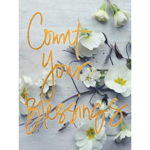 Count Your Blessings White Modern Wood Framed Art Print by Gardner, Sarah