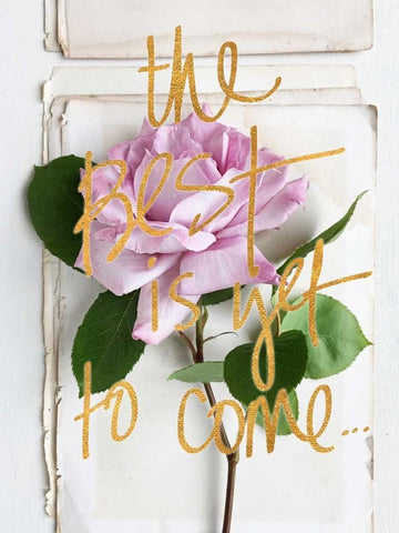 The Best is Yet to Come White Modern Wood Framed Art Print with Double Matting by Gardner, Sarah
