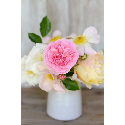Country Bouquet I White Modern Wood Framed Art Print by Gardner, Sarah