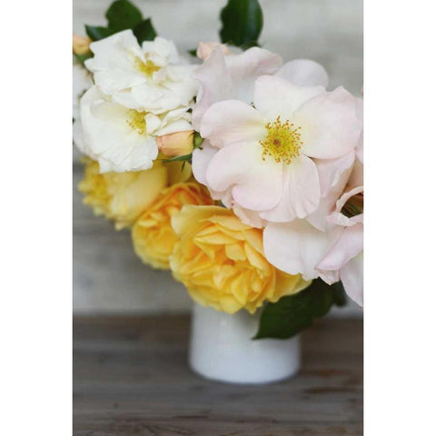 Country Bouquet II Black Modern Wood Framed Art Print with Double Matting by Gardner, Sarah