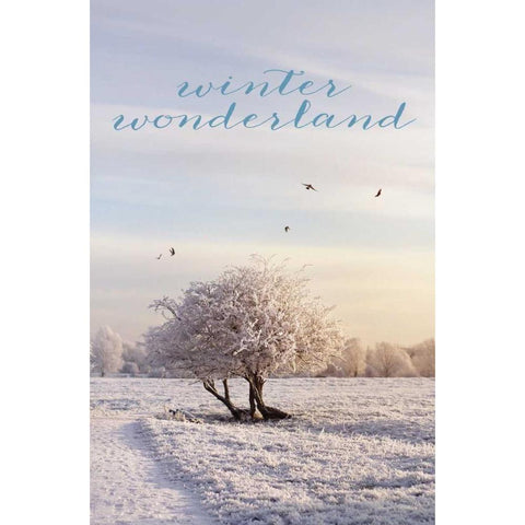 Winter Wonderland Black Modern Wood Framed Art Print with Double Matting by Gardner, Sarah