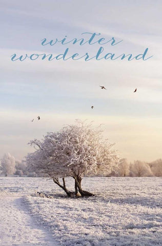Winter Wonderland White Modern Wood Framed Art Print with Double Matting by Gardner, Sarah