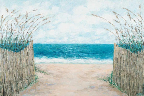 Sand Bridge Walkway Black Ornate Wood Framed Art Print with Double Matting by Coolick, Ann Marie
