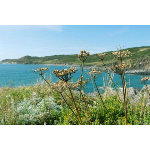 Far Away In The Breeze Black Modern Wood Framed Art Print by Gardner, Sarah