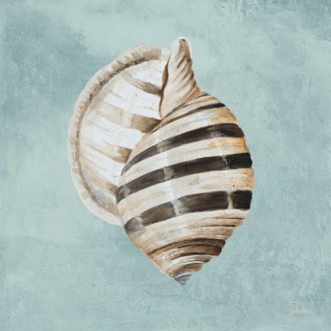 Modern Shell on Teal I Black Modern Wood Framed Art Print by Pinto, Patricia