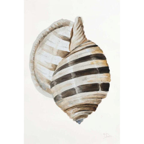 Modern Shell I White Modern Wood Framed Art Print by Pinto, Patricia
