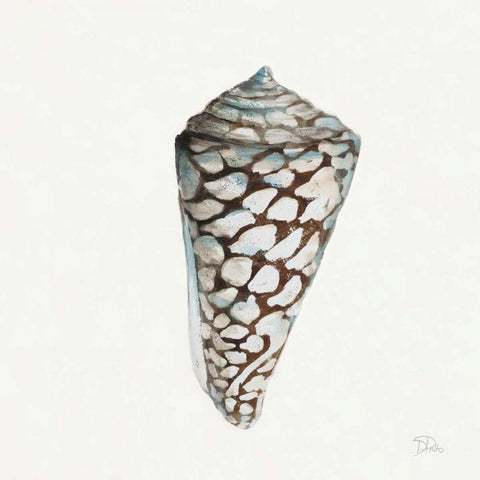 Modern Shell with Teal II White Modern Wood Framed Art Print by Pinto, Patricia