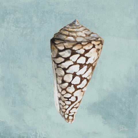 Modern Shell on Teal II White Modern Wood Framed Art Print with Double Matting by Pinto, Patricia