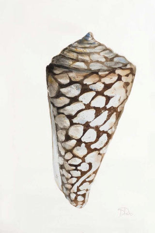 Modern Shell II Black Ornate Wood Framed Art Print with Double Matting by Pinto, Patricia
