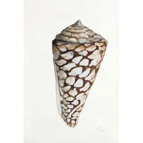 Modern Shell II Black Modern Wood Framed Art Print by Pinto, Patricia
