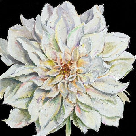 Dahlia On Black Gold Ornate Wood Framed Art Print with Double Matting by Pinto, Patricia