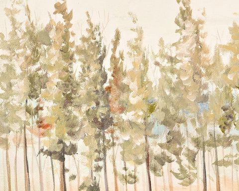 Bosque Verde Brisa I White Modern Wood Framed Art Print with Double Matting by Pinto, Patricia