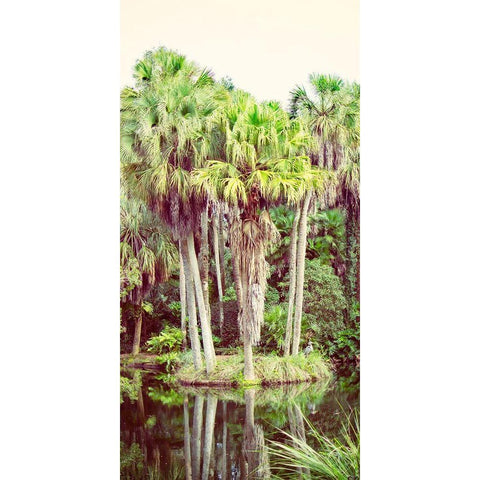 Silent Stream Black Modern Wood Framed Art Print with Double Matting by Coppel, Anna