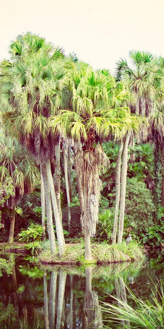 Silent Stream Black Ornate Wood Framed Art Print with Double Matting by Coppel, Anna