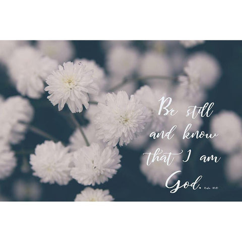 Be Still White Modern Wood Framed Art Print by Coppel, Anna