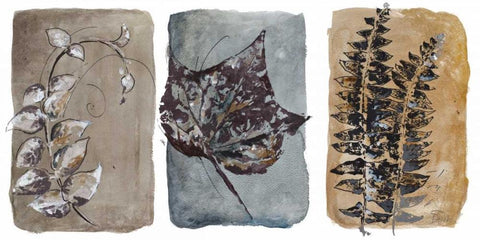 Watercolor Sepia Leaves I White Modern Wood Framed Art Print with Double Matting by Pinto, Patricia