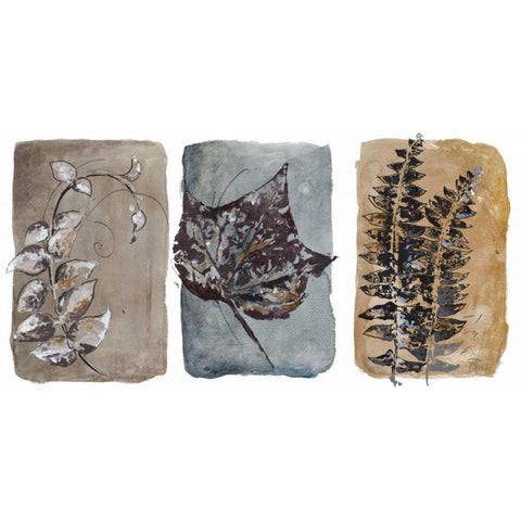 Watercolor Sepia Leaves I Black Modern Wood Framed Art Print with Double Matting by Pinto, Patricia