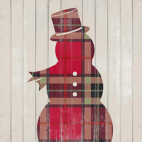 Plaid Christmas IV White Modern Wood Framed Art Print with Double Matting by Studio, Sd Graphics